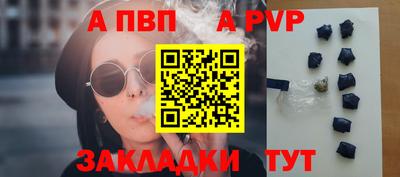 шишки Можга