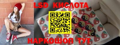 шишки Можга