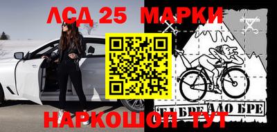 шишки Можга