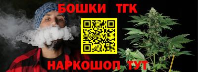 шишки Можга