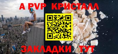 шишки Можга