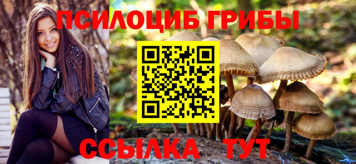 Псилоцибиновые грибы мухоморы Звенигород