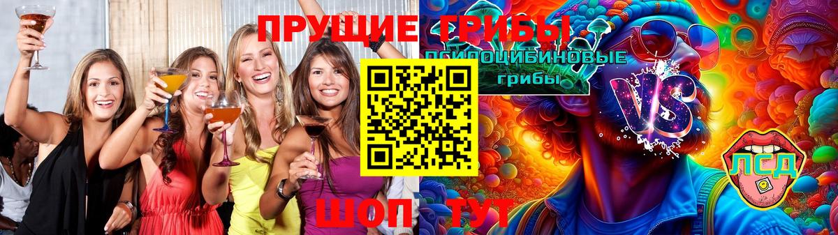 Псилоцибиновые грибы Magic Shrooms  Вход с VPN  Звенигород  Галлюциногенные грибы прущие грибы 